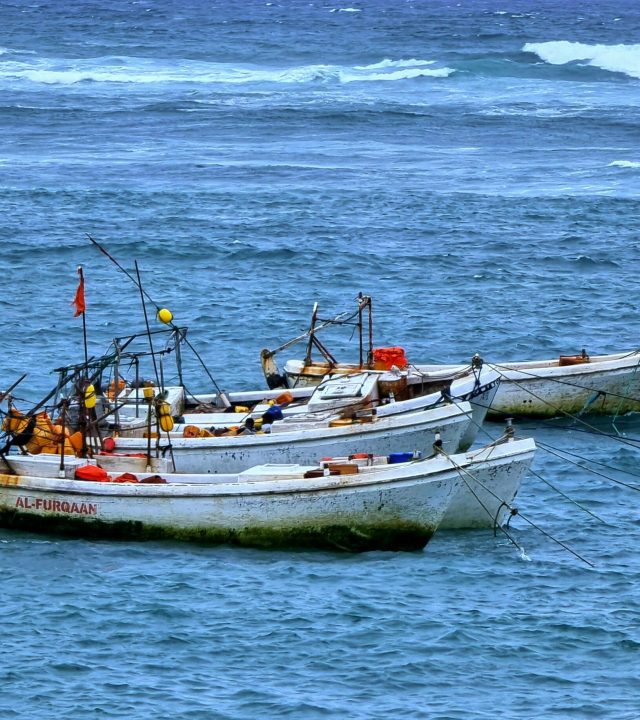 Wooden fishing boats floating on the blue waters near Mogadishu, showcasing local marine life culture.